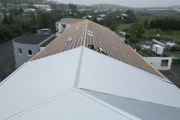 Bygging og VIðhald - Setbergsskóli - Þak 546