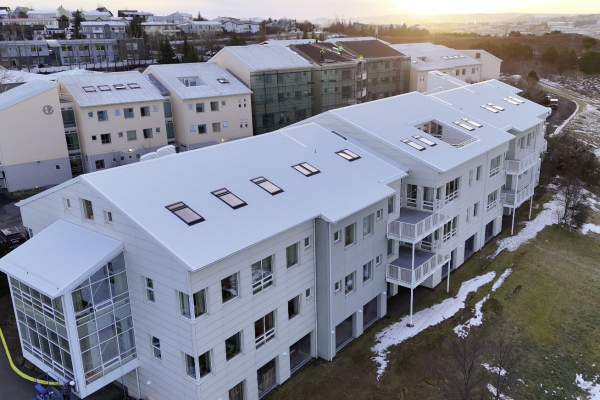 nýtt þak, þakskipti, bárujárn, klæðning, verktakar,